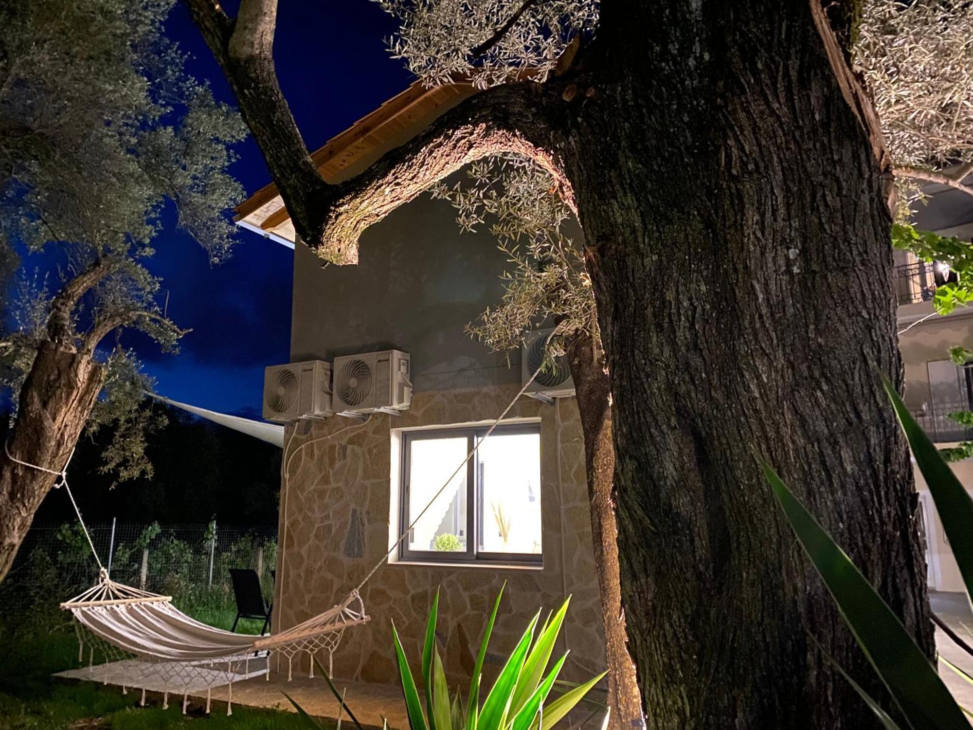 Olive Tree Apartments Lefkáda Rum bild