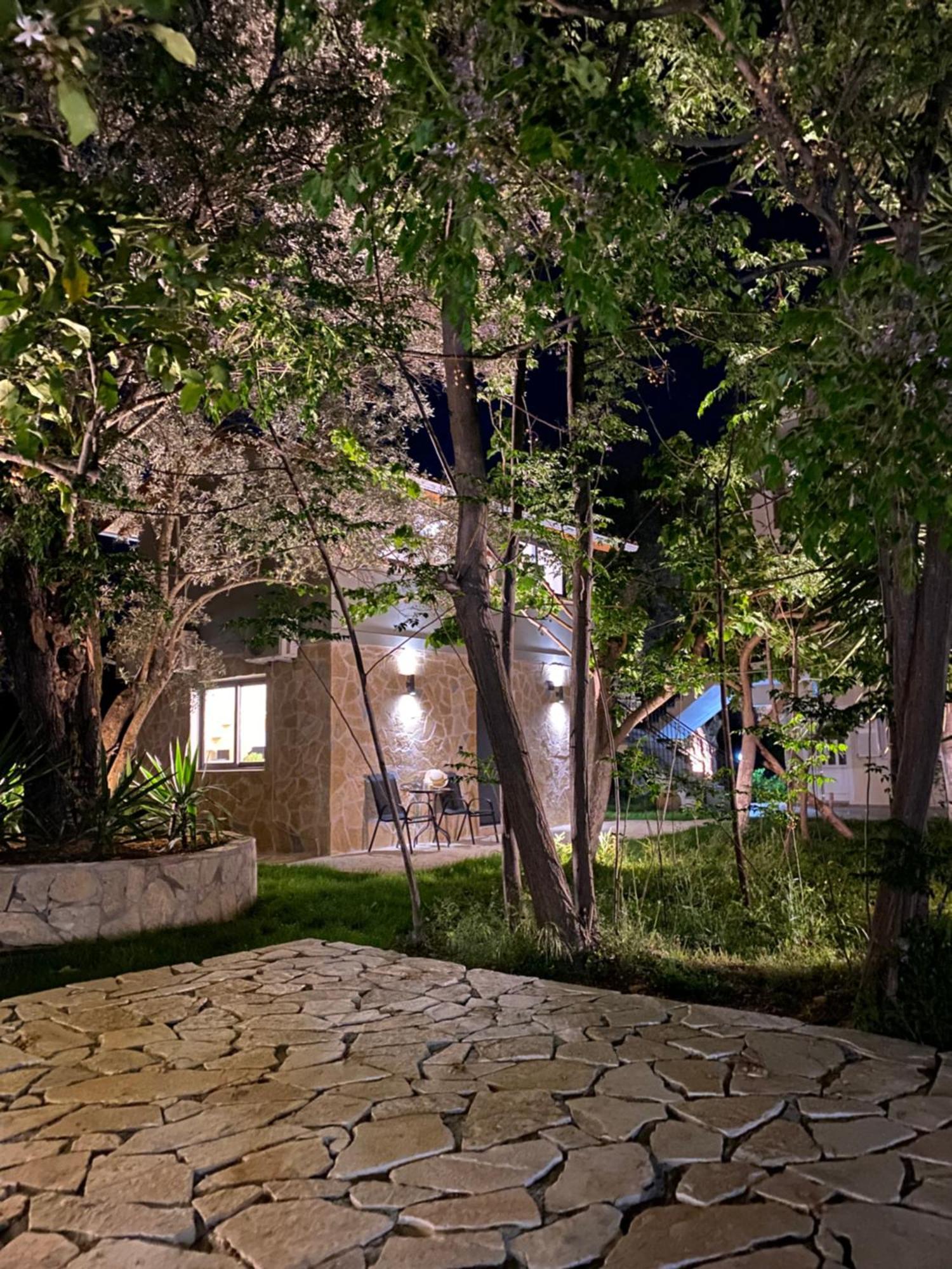 Olive Tree Apartments Lefkáda Rum bild