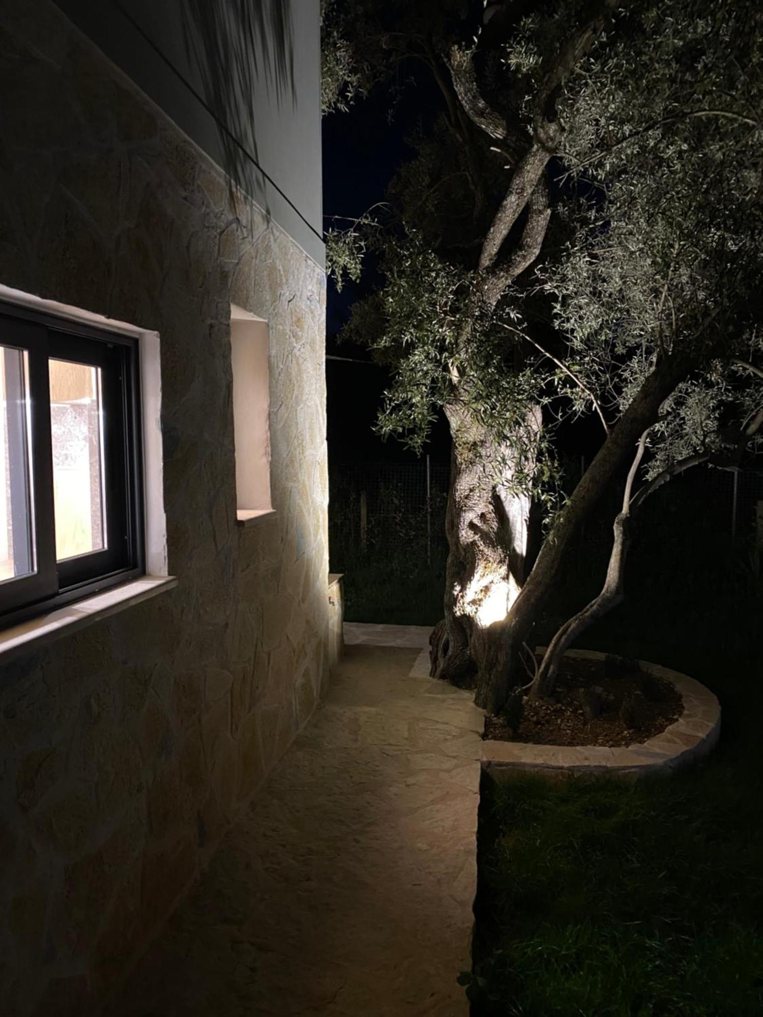 Olive Tree Apartments Lefkáda Exteriör bild